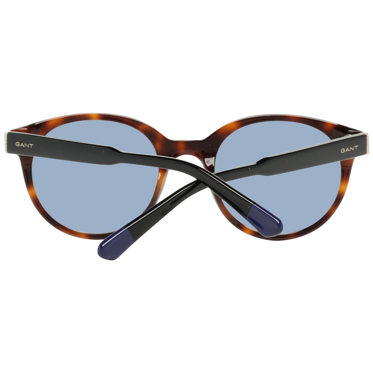 Brown Women Sunglasses