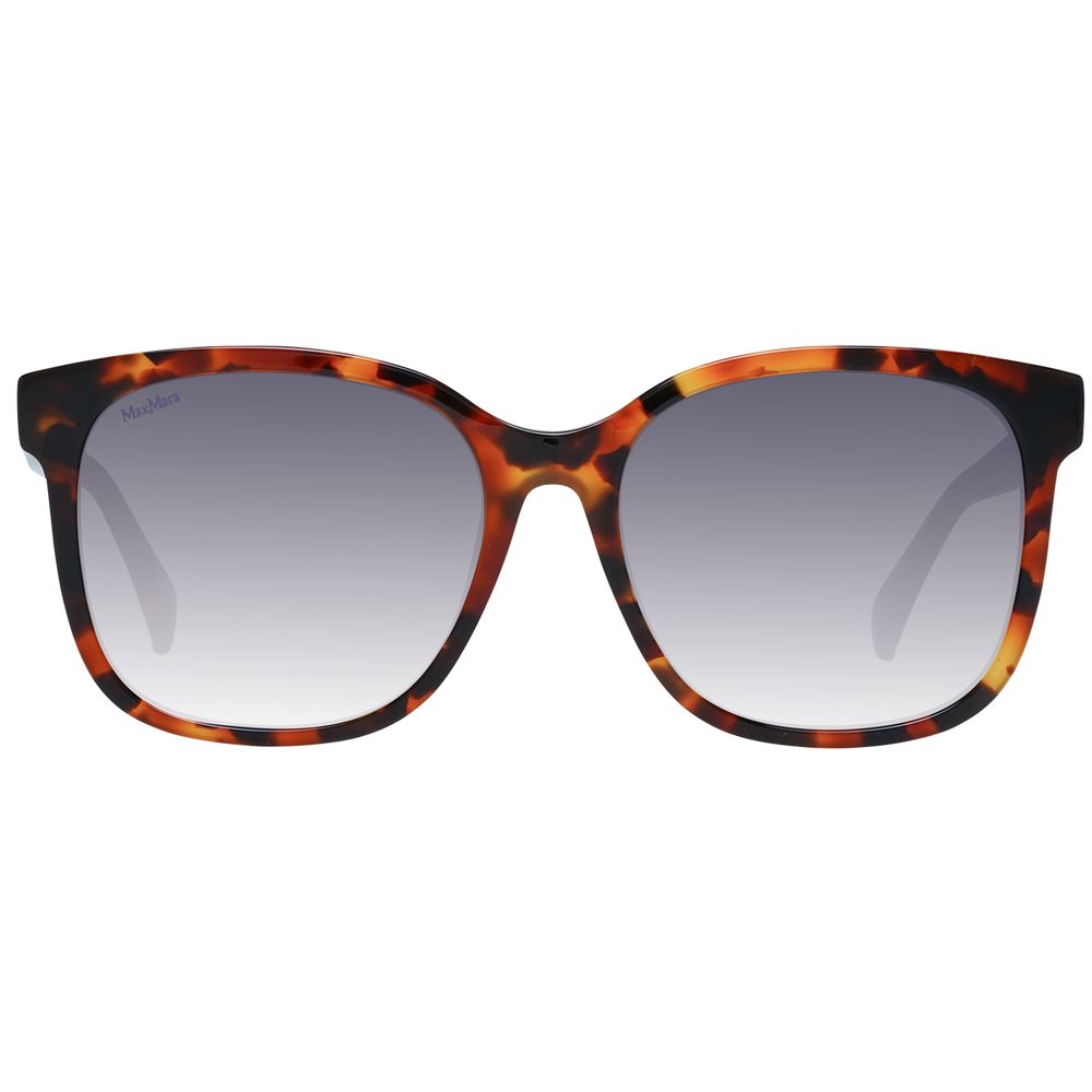 Brown Women Sunglasses