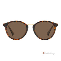 Brown Resin Sunglasses