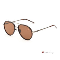 Brown Titanium Sunglasses