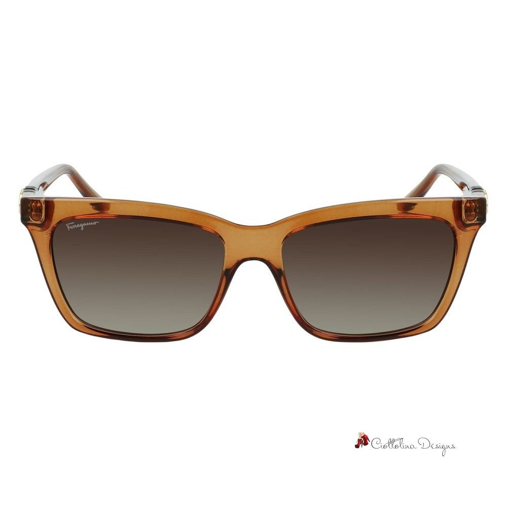 Brown Injected Sunglasses