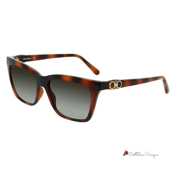 Brown Injected Sunglasses