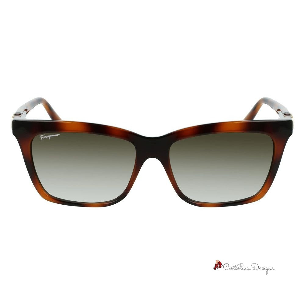 Brown Injected Sunglasses