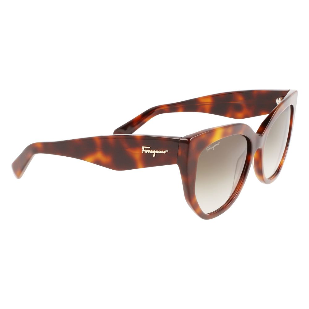 Brown Acetate Sunglasses