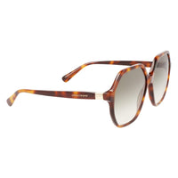 Brown Acetate Sunglasses